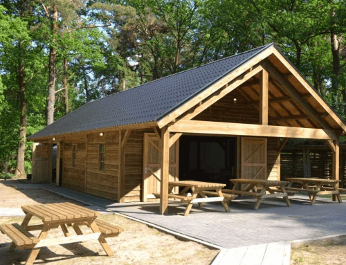 De charme van bos lodges: ontdek de rust en schoonheid van bos lodges en waarom ze de perfecte accommodatie zijn