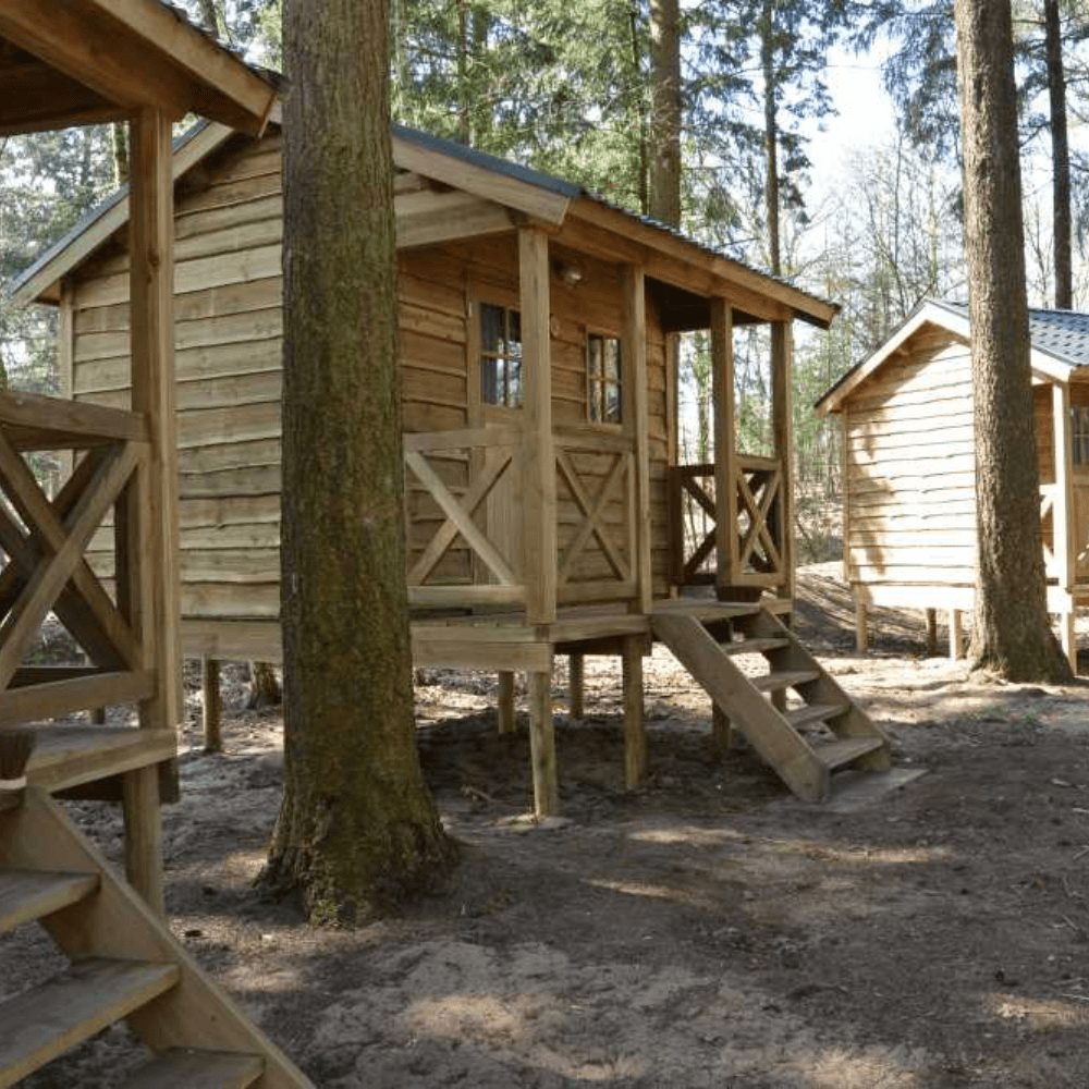 De Voordelen Van Een Groepsverblijf In Blokhutten Ontdek Waarom Het Huren Van Een Blokhut Voor Een Groep De Perfecte Keuze Is Voor Een Gezellig Samenzijn (1)