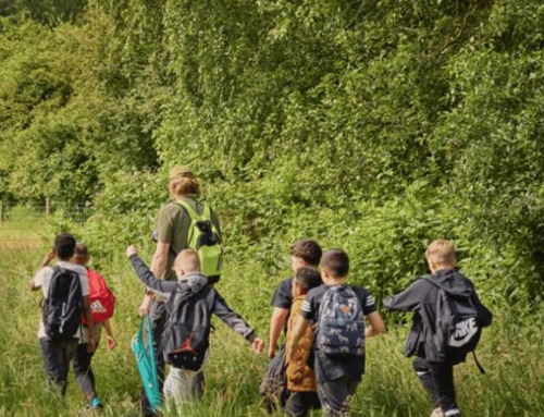 De ultieme gids voor een geslaagd schoolkamp