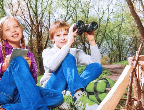 Hoe verdeel je taken en verantwoordelijkheden op schoolkamp?