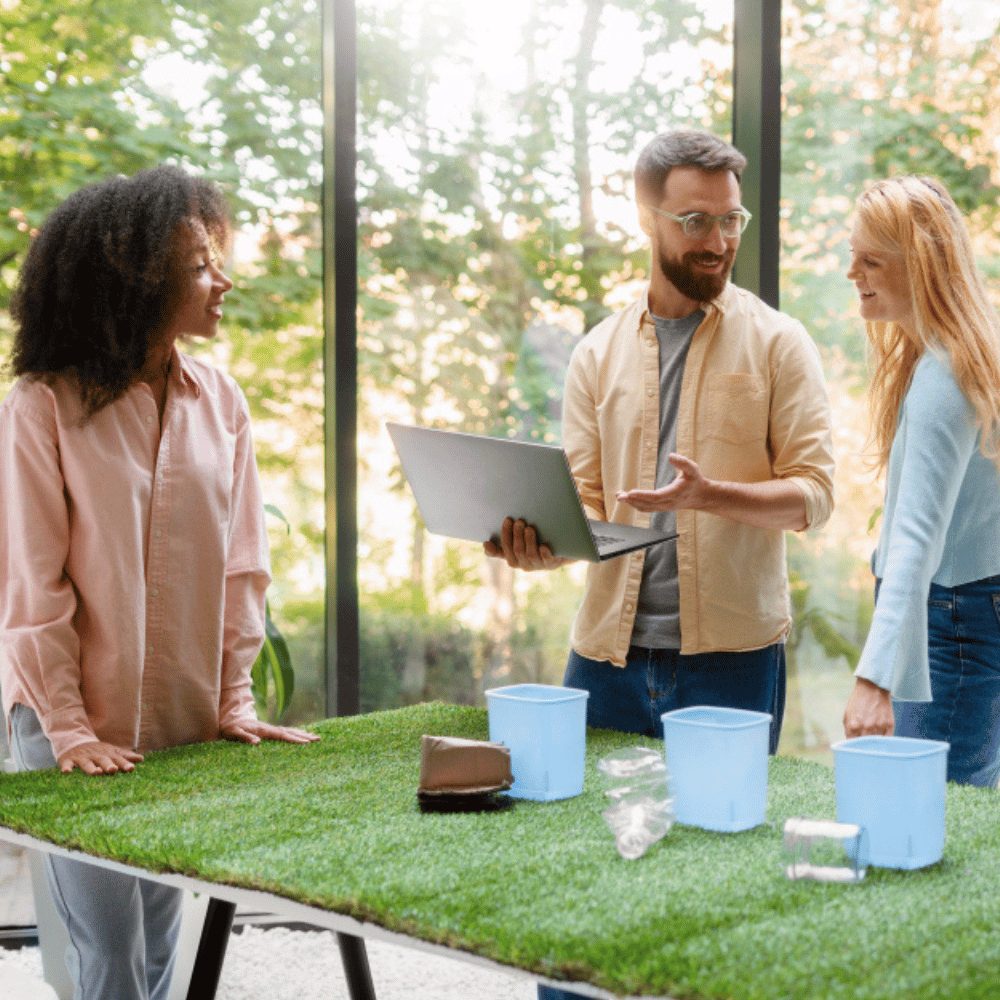 Vergaderen Met Uitzicht De Natuur Als Creatieve Boost