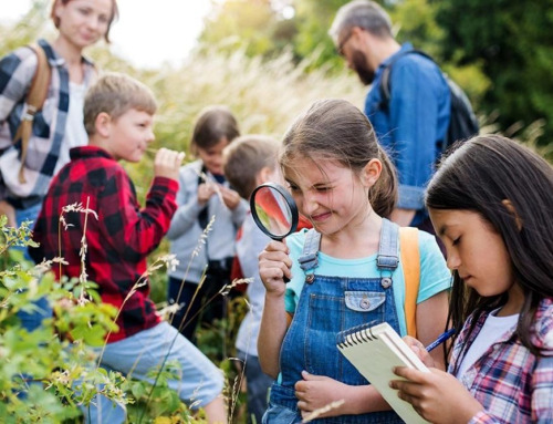 Leren buiten het klaslokaal bij het Buitencentrum