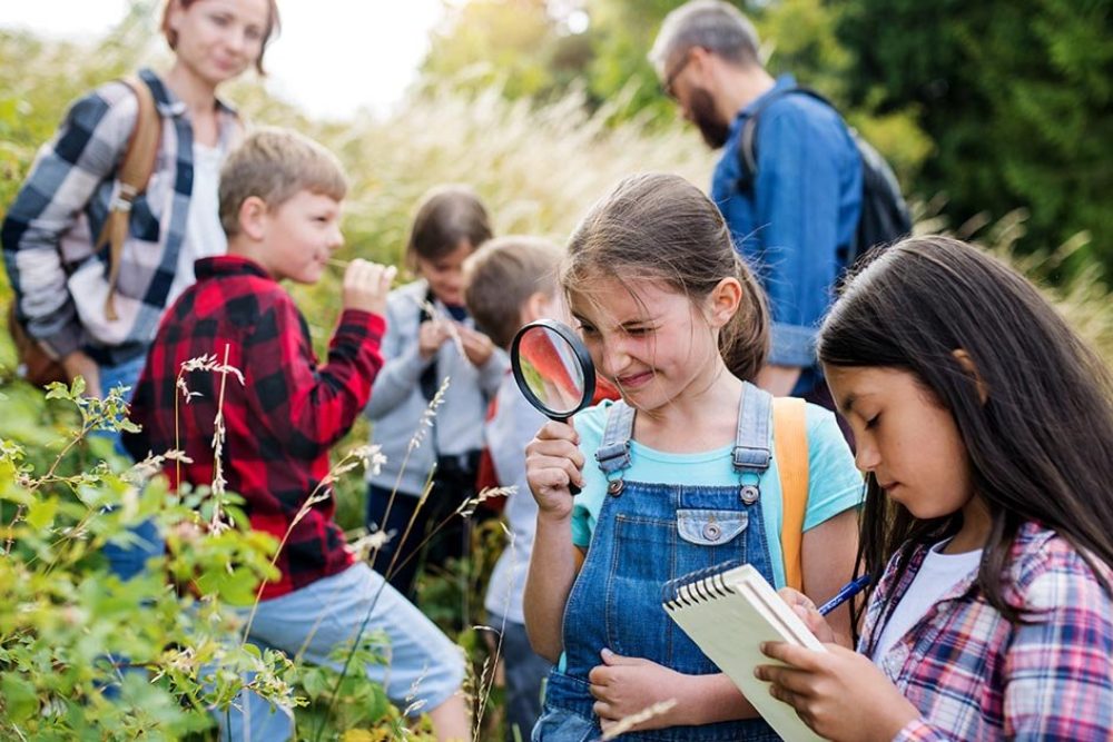 Leren Buiten Het Klaslokaal Bij Het Buitencentrum